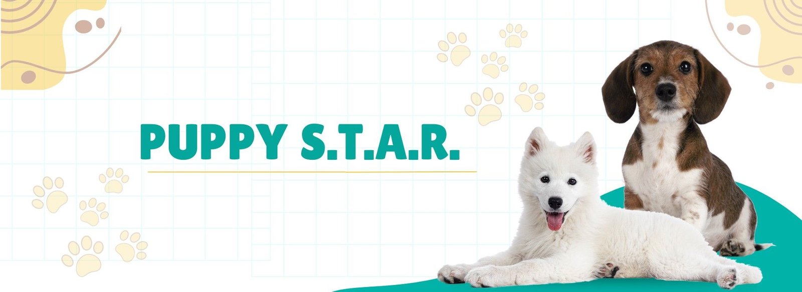 jpeg-optimizer_pets banner 1